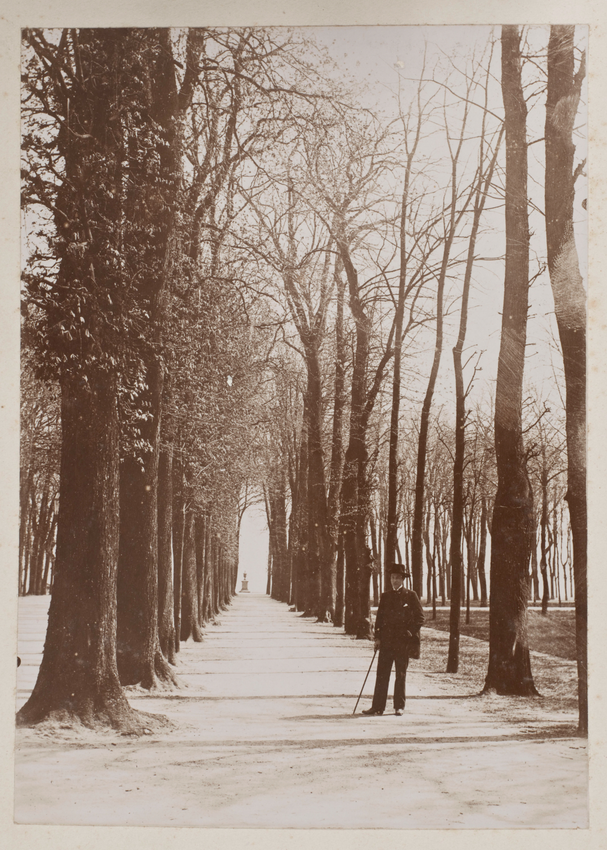 Un homme debout avec une canne à l entrée d une allée bordée d arbres