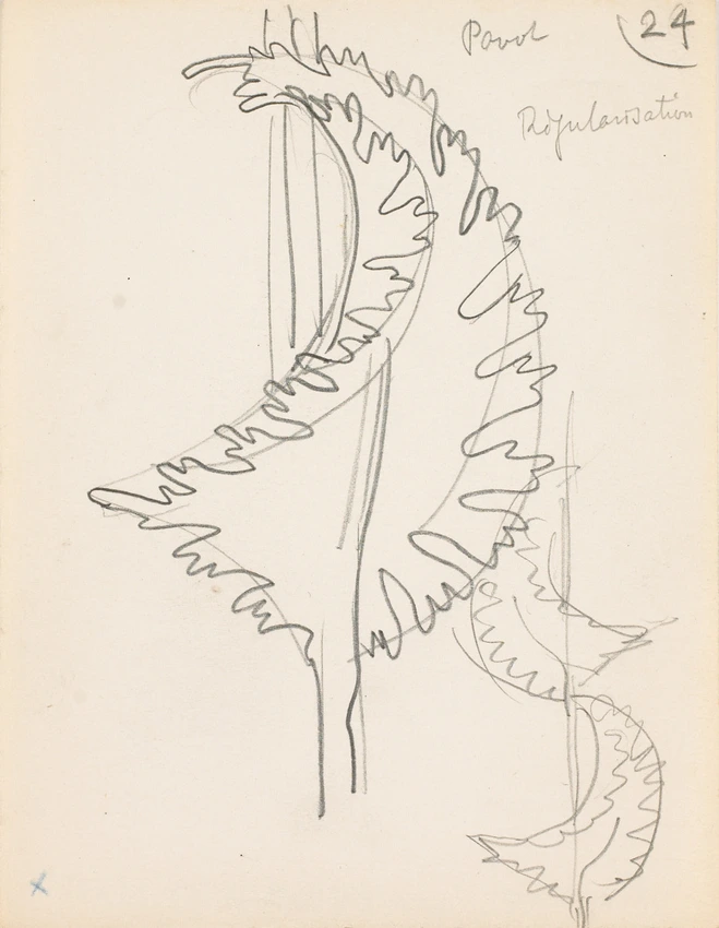 Eugène Grasset - Feuilles de pavot stylisées