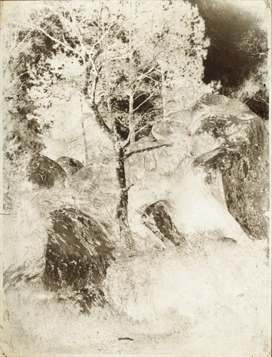 Théodule Devéria - Arbres et rochers