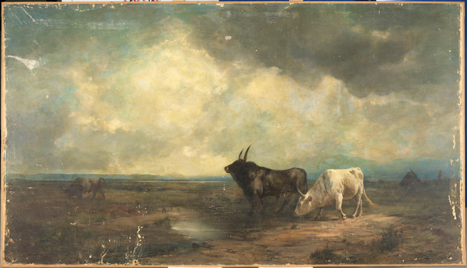 Camille Adrien Paris - Taureau de la campagne de Rome