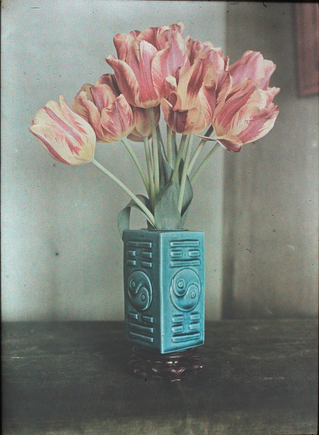 Anonyme - Vase et pots sur fond blanc