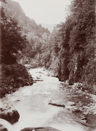 Victor de fils Buisson - Vue de torrent