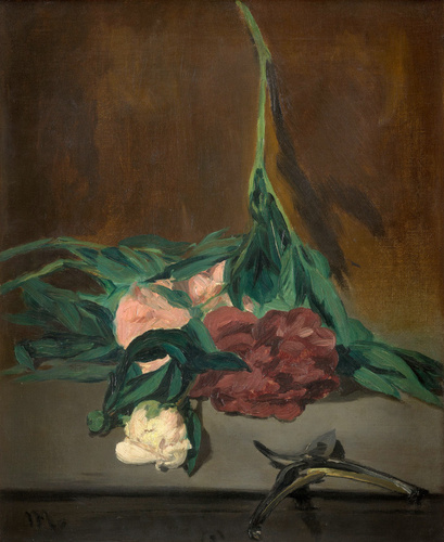 Edouard Manet - Tige de pivoines et sécateur