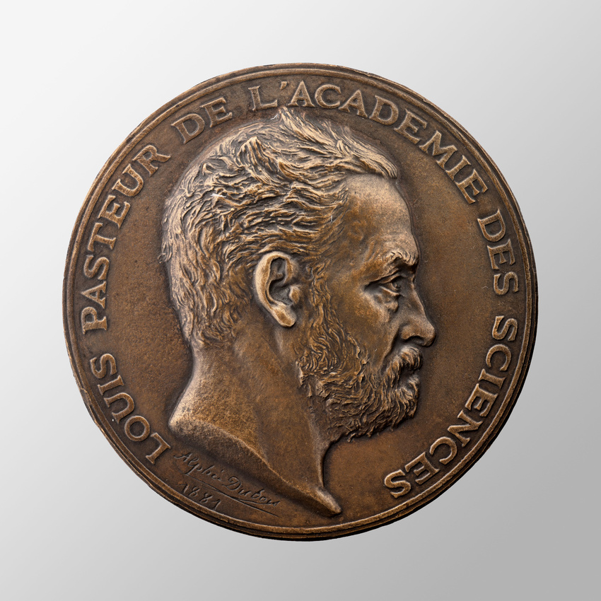 Alphée Dubois - Louis Pasteur