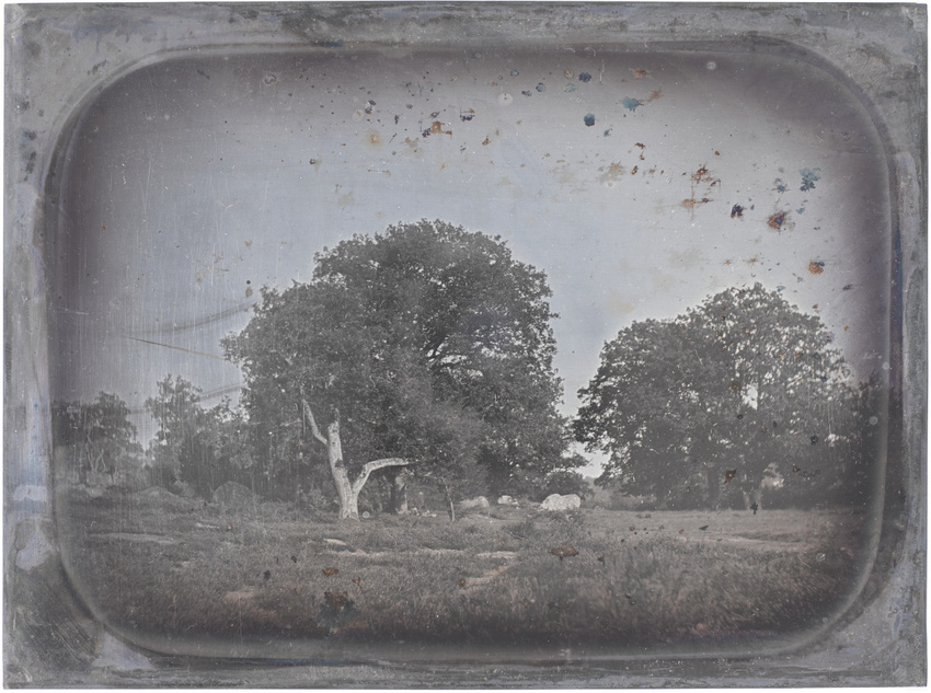Anonyme - Grands chênes, forêt de Fontainebleau (?)
