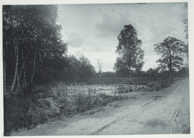 F. de Ribes-Christofle - Crépuscule en forêt