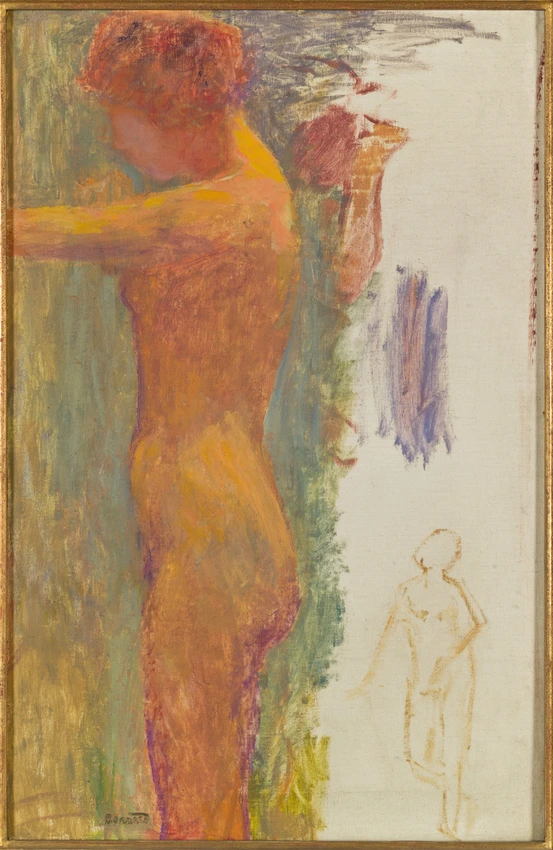 Pierre Bonnard - Etude de nus