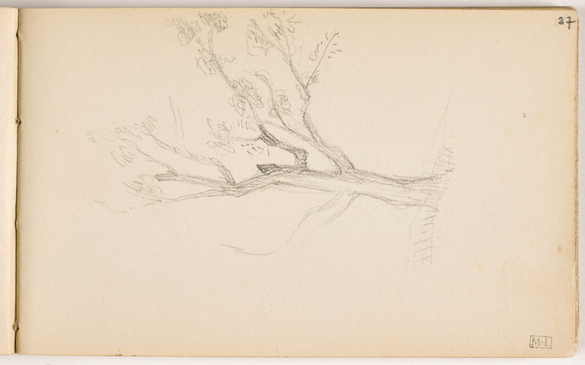 Étude des arbres, Loctudy de Maurice Denis - Reproduction tableau