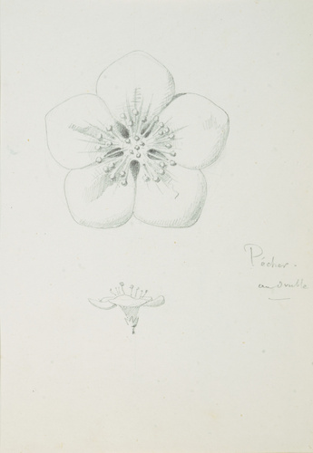 Victor Ruprich-Robert - Pêcher