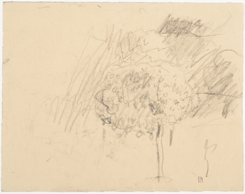 Pierre Bonnard - Paysage avec chaîne de montagnes