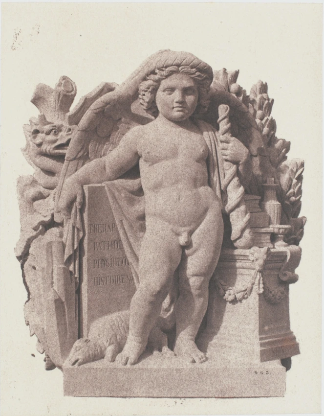 Edouard Baldus - "La Médecine", sculpture de Louis Eugène Bion, décor du palais ...