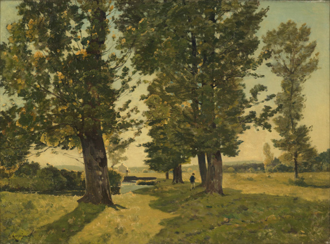 Paysage, prairie à hérisson