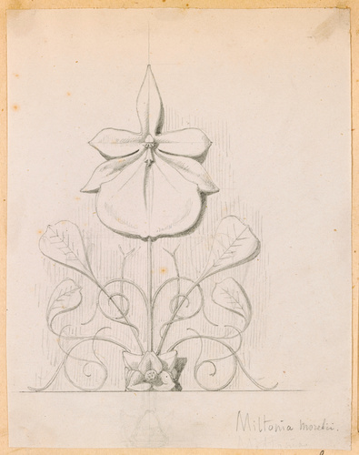 Victor Ruprich-Robert - Miltonia, movelii
