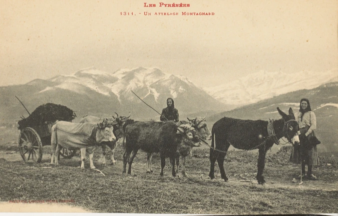 Phototypie Labouche Frères - Les Pyrénées. Un attelage montagnard