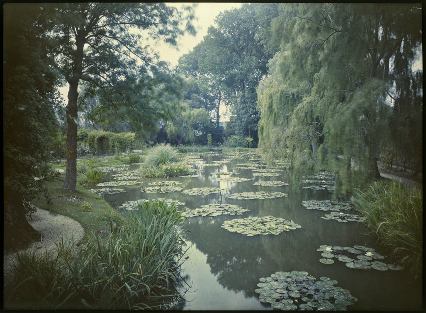 Anonyme - L'étang des Nymphéas à Giverny
