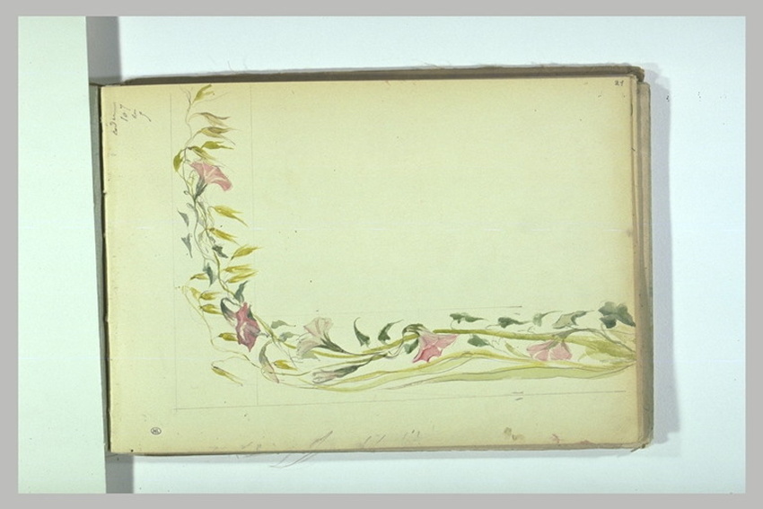 Léonide Bourges - Fleurs grimpantes : un liseron