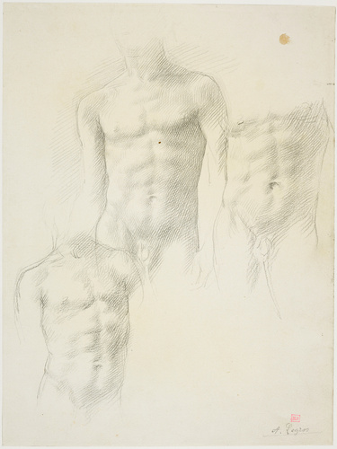 Alphonse Legros - Trois études de torse