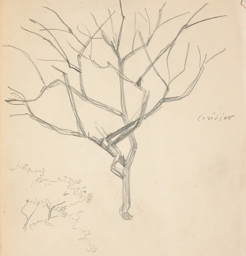 Eugène Grasset - Cerisier