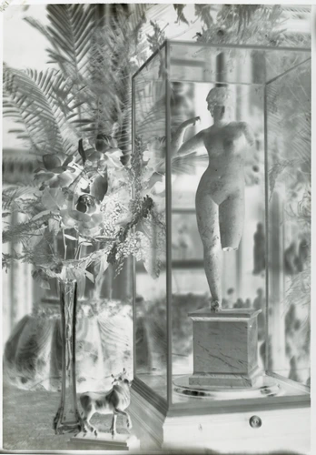 Paul Haviland - Statue de femme dans une vitrine