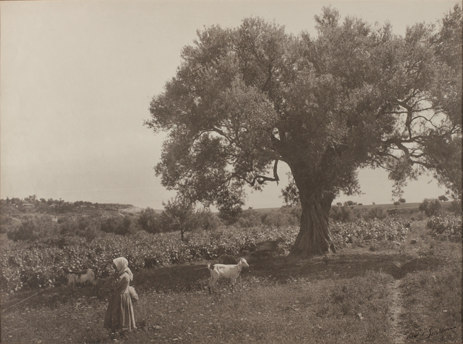 Frédéric Boissonnas - Akrata, le golfe de Corinthe