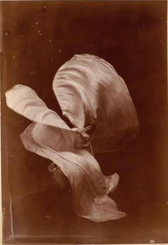 The Taber bas-relief photographic syndicate Ltd (Paris) - Mlle Loïe Fuller