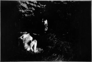 Pierre Bonnard - Pierre Bonnard de dos, assis dans l'herbe (prise de vue de Mart...