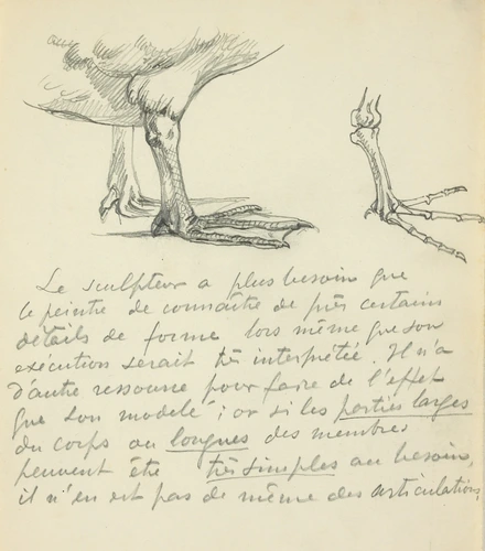 Eugène Grasset - Pattes d'oiseau de profil