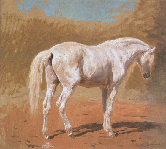 Rosa Bonheur - Etude de cheval blanc