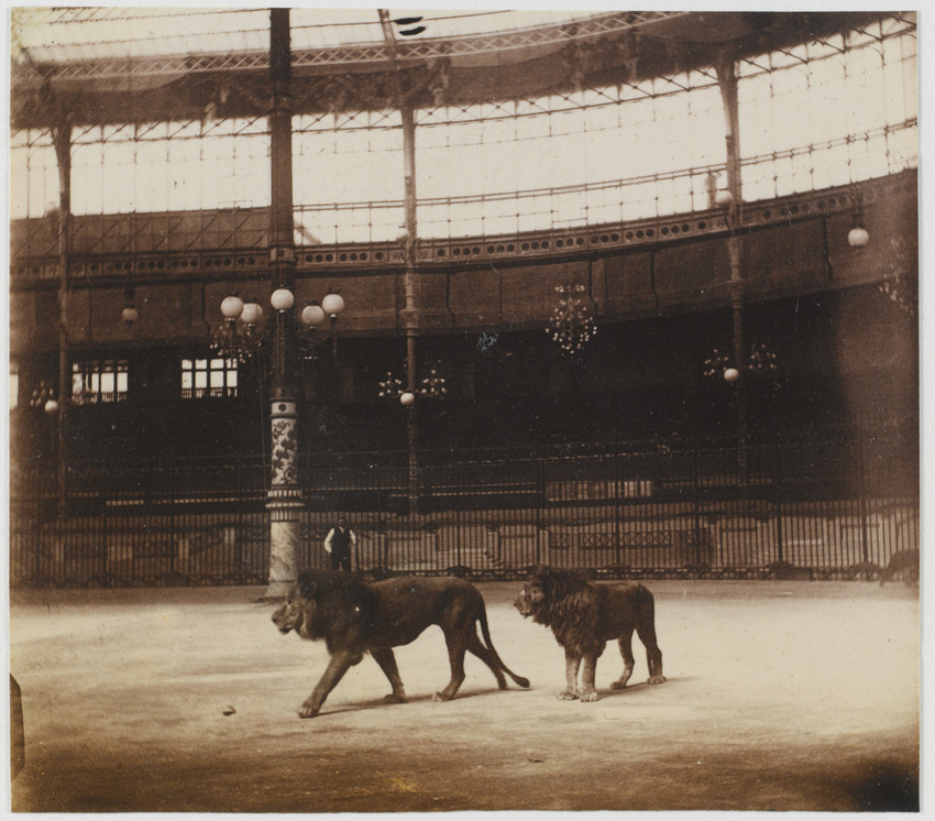 Albert Londe - Hippodrome de l'Alma, répétition de la pantomime Néron, les lions...