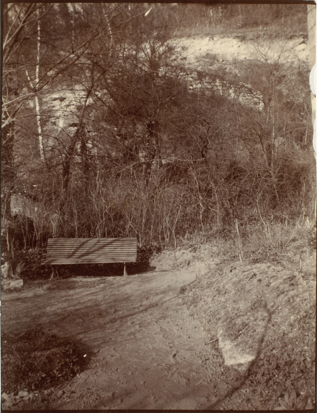 Paul Burty Haviland - Chaponval, un coin du jardin de grand-père