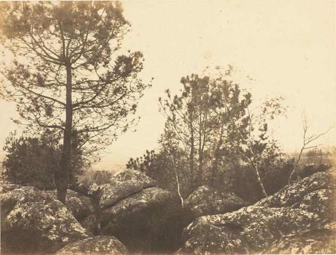 Eugène Cuvelier - Roches et pins dans la forêt de Fontainebleau