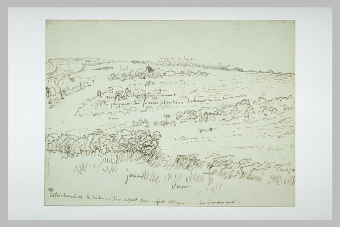 Jean-François Millet - Paysage en Auvergne : une lande
