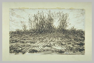 Boqueteau transpercé par le soleil couchant au fond d'un champ - Jean-François Millet