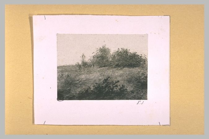 Frédérick Juncker - Paysage de campagne