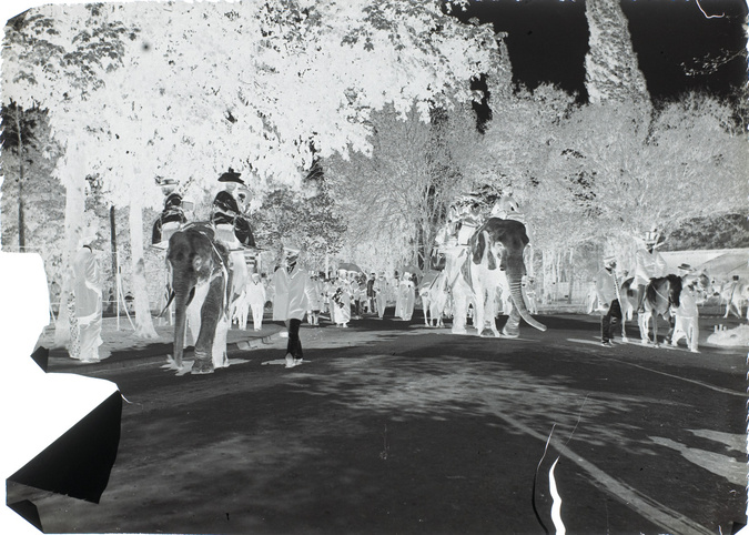 Henri Lemoine - Deux éléphants et promeneurs, jardin d'acclimatation