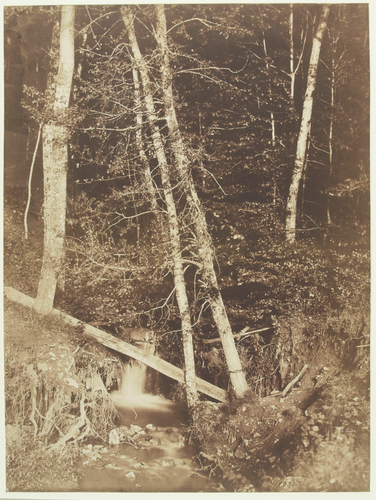 Henri Le Secq - Ruisseau en forêt (Montmirail)