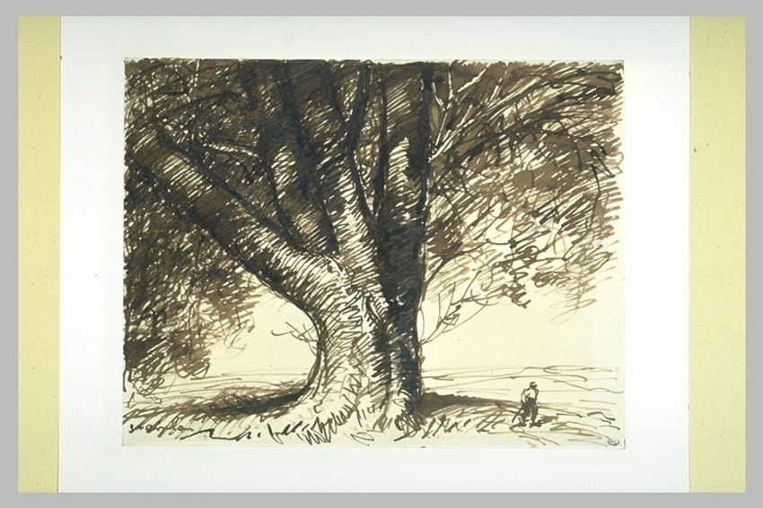 Théophile Alexandre Steinlen - Paysage dominé par un arbre à cinq fortes branche...