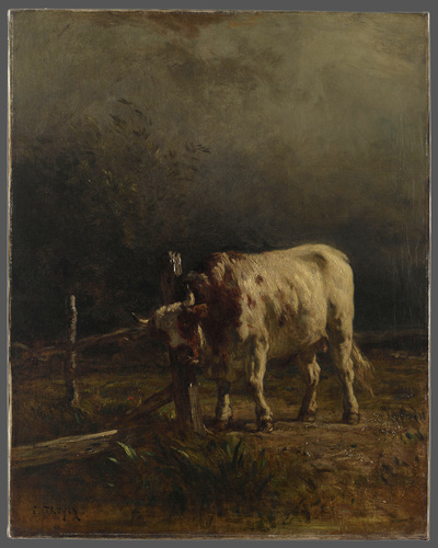 Constant Troyon - Le Taureau, effet d'orage