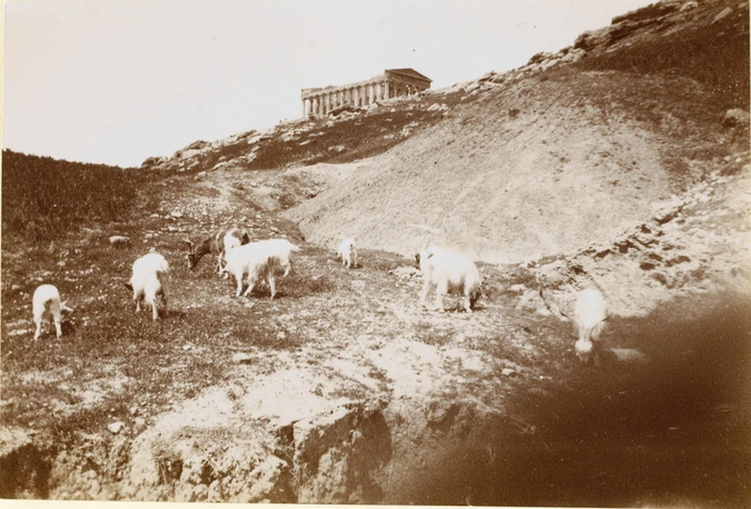 Auguste Delaherche - Agrigente - temple, moutons au pâturage