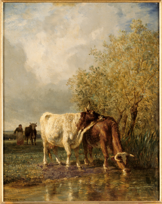 Constant Troyon - Vaches buvant à une mare