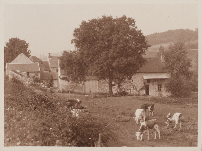 Charles Augustin Lhermitte - Bétail paissant près d'une ferme