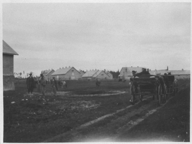 Anonyme - Anticosti, calèche et maisons