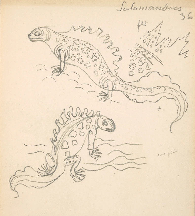 Eugène Grasset - Salamandres de dos et de profil