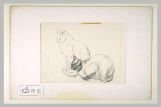 Théophile Alexandre Steinlen - Deux chats, l'un assis, l'autre prêt à bondir