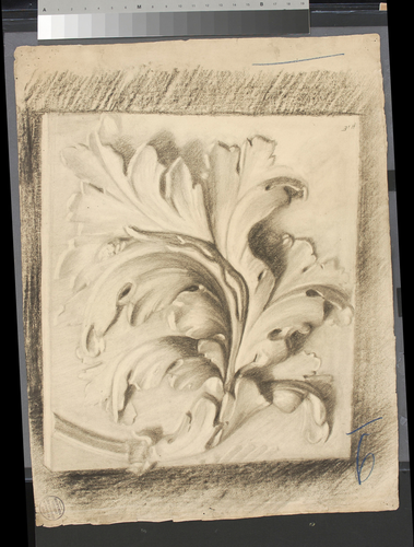 Roland Martin - Dessin d'un moulage en plâtre d'une feuille d'acanthe