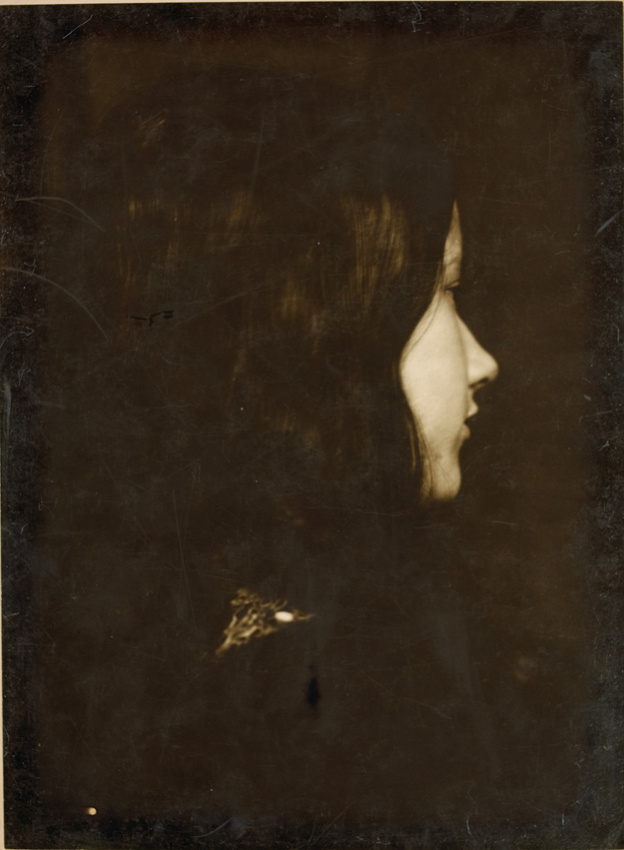 Emile Zola - Portrait de Denise
