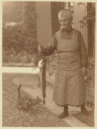 Charles Augustin Lhermitte - Femme agée présentant un gros poisson à un chat