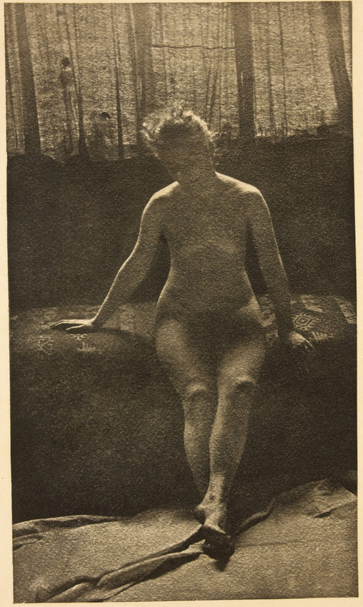 Alexandre - Etude de femme