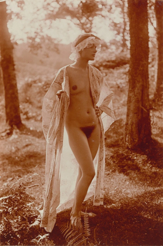 Charles Augustin Lhermitte - Jeune femme nue, peignoir ouvert, posant dans une c...