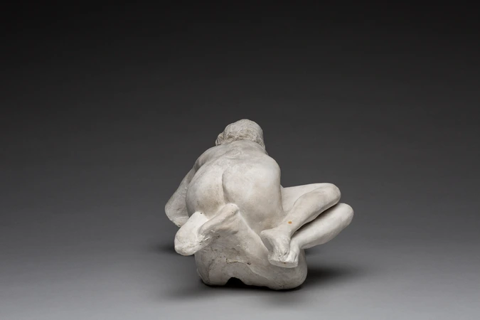 Auguste Rodin - Les Métamorphoses d'Ovide